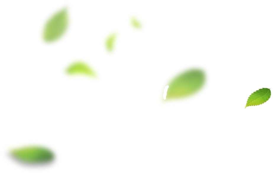 Floating Green Leaves Graphic