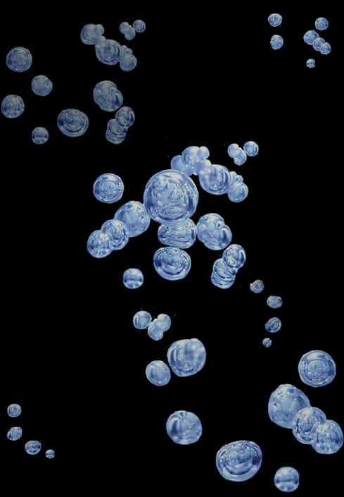 Floating Soap Bubbles Black Background