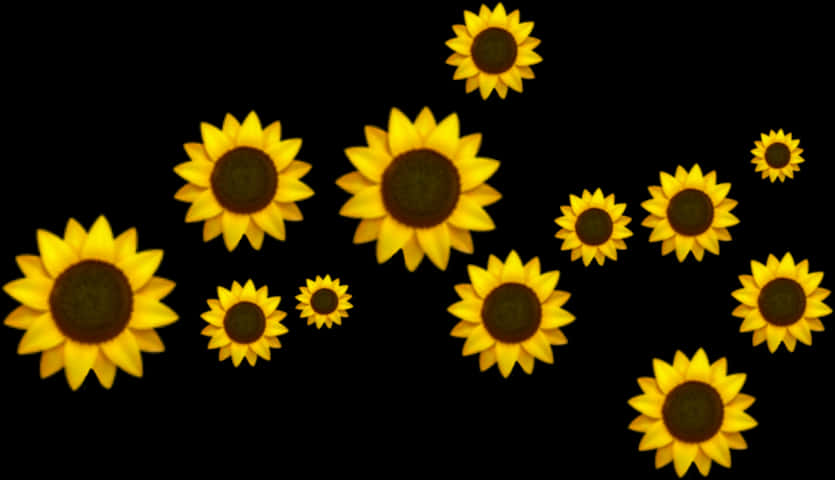 Floating Sunflowerson Black Background