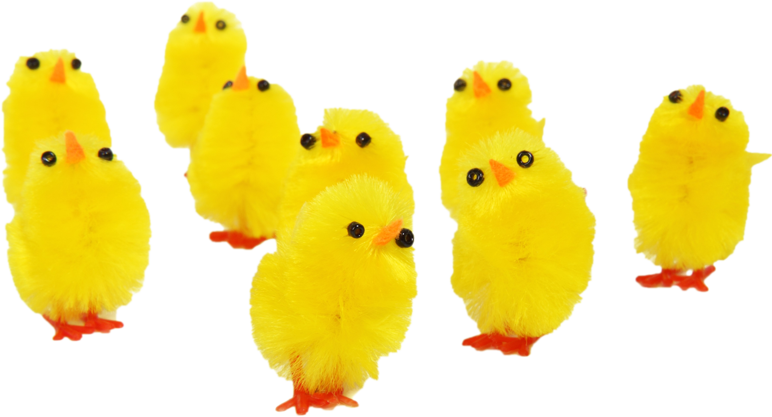 Flock_of_ Fuzzy_ Yellow_ Chicks