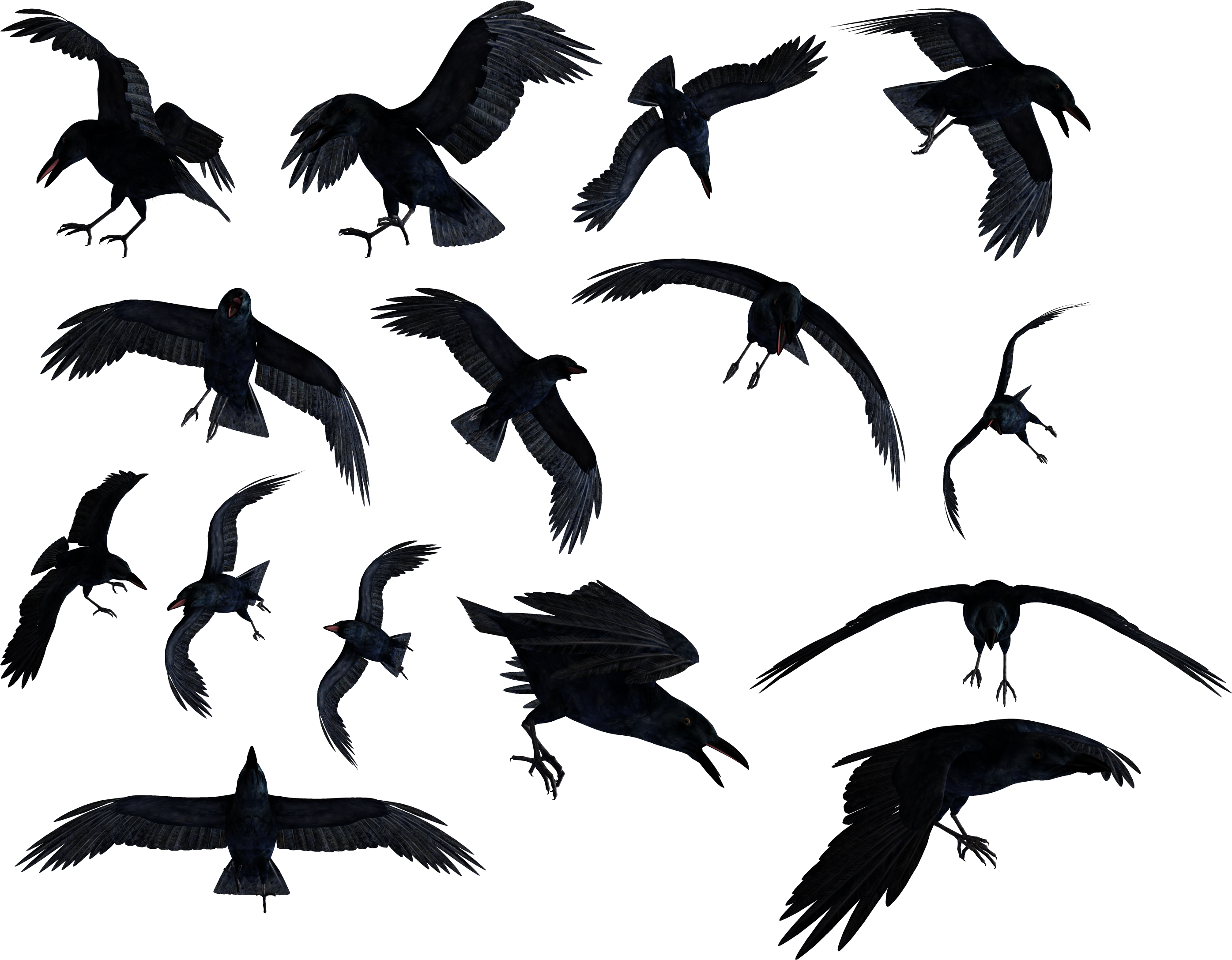 Flock_of_ Ravens_in_ Flight