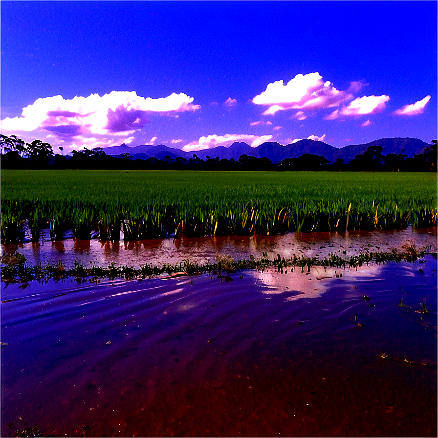 Flooded Farmland Png 06202024