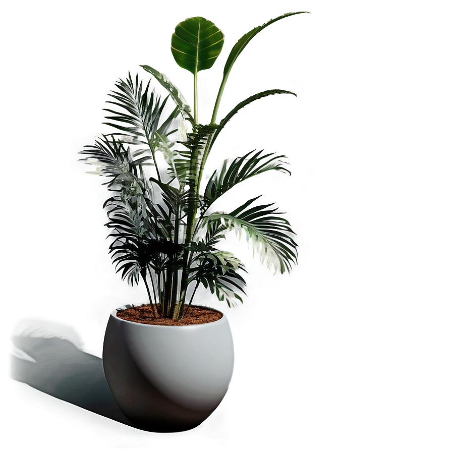 Floor Plant Design Png 06282024