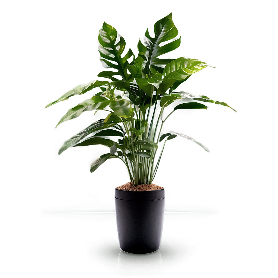 Floor Plant Design Png Sas