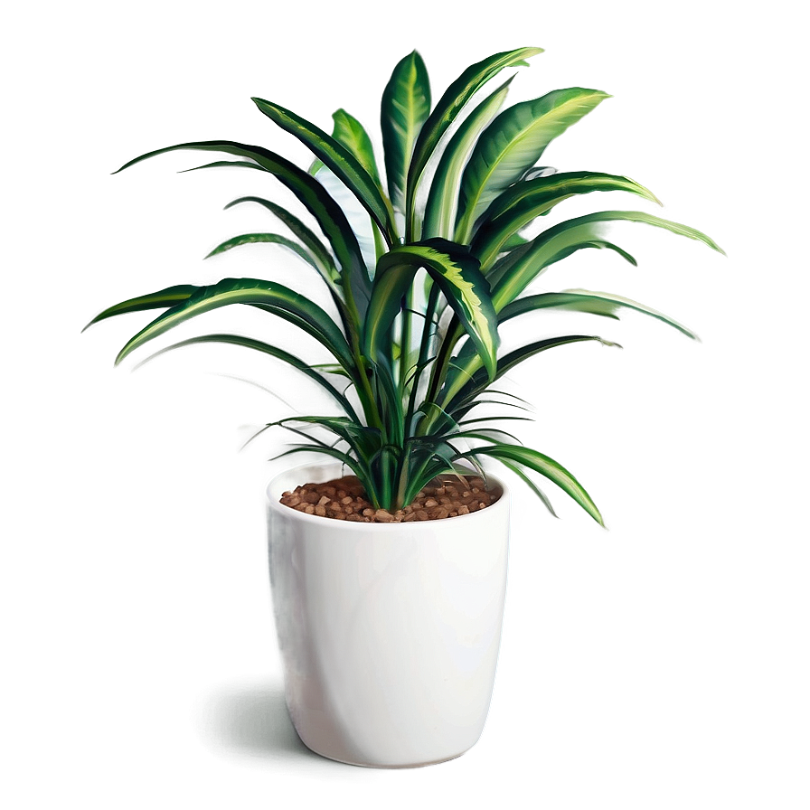 Floor Plant Png Xjq