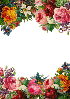 Floral Arch Frame Design