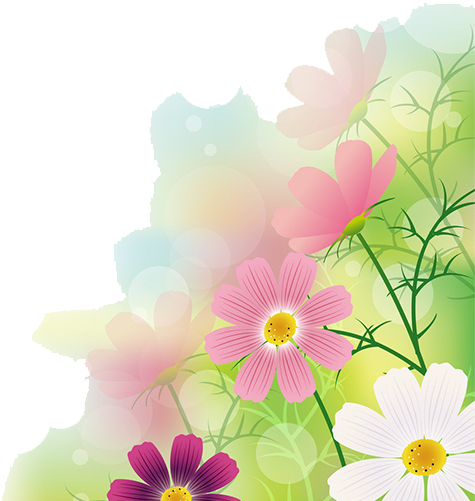 Floral Bokeh Background