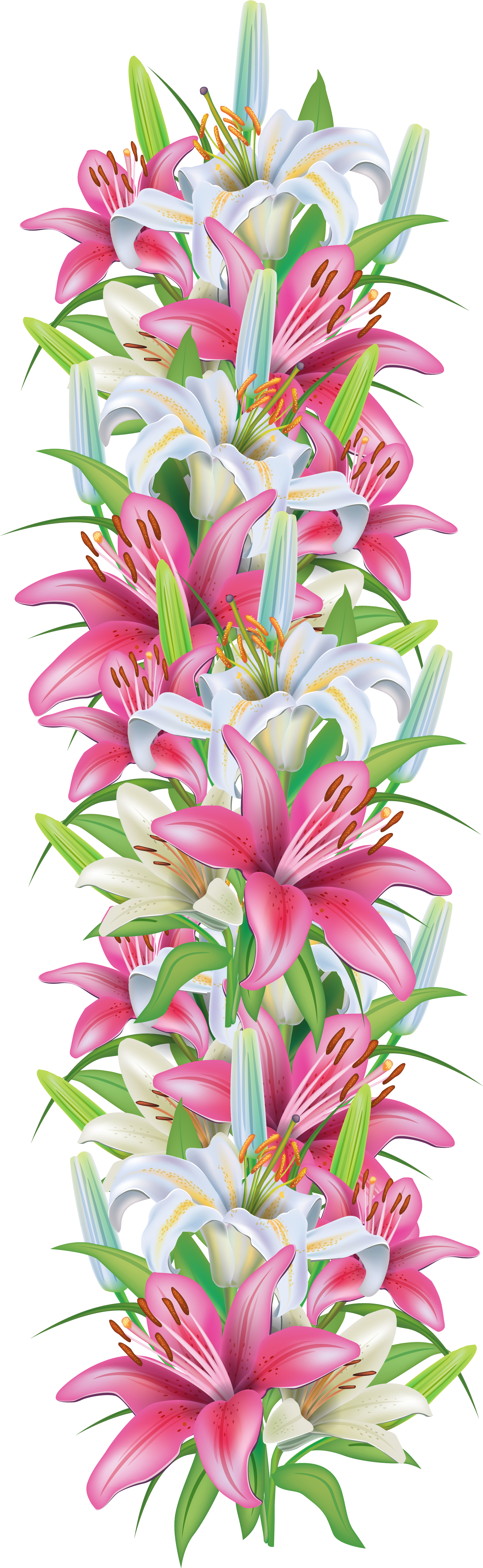 Floral Border Clipart Lilies