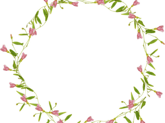 Floral Circle Frame P N G