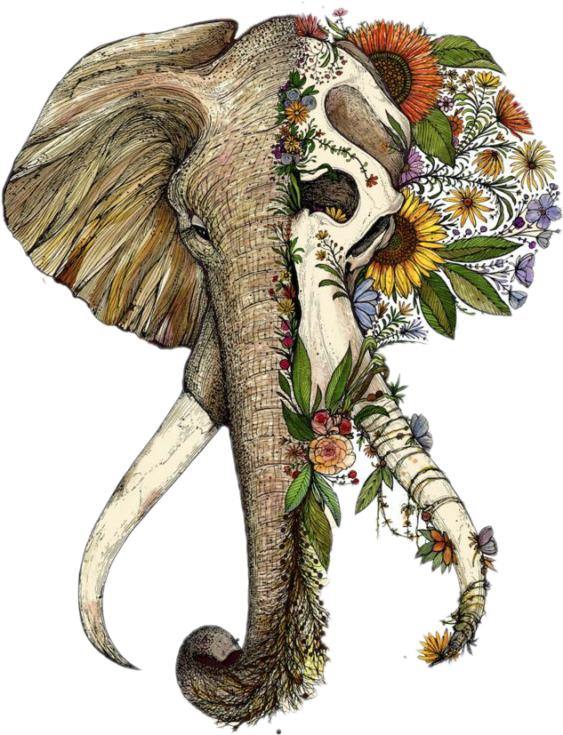 Floral Elephant Skull Tattoo Art