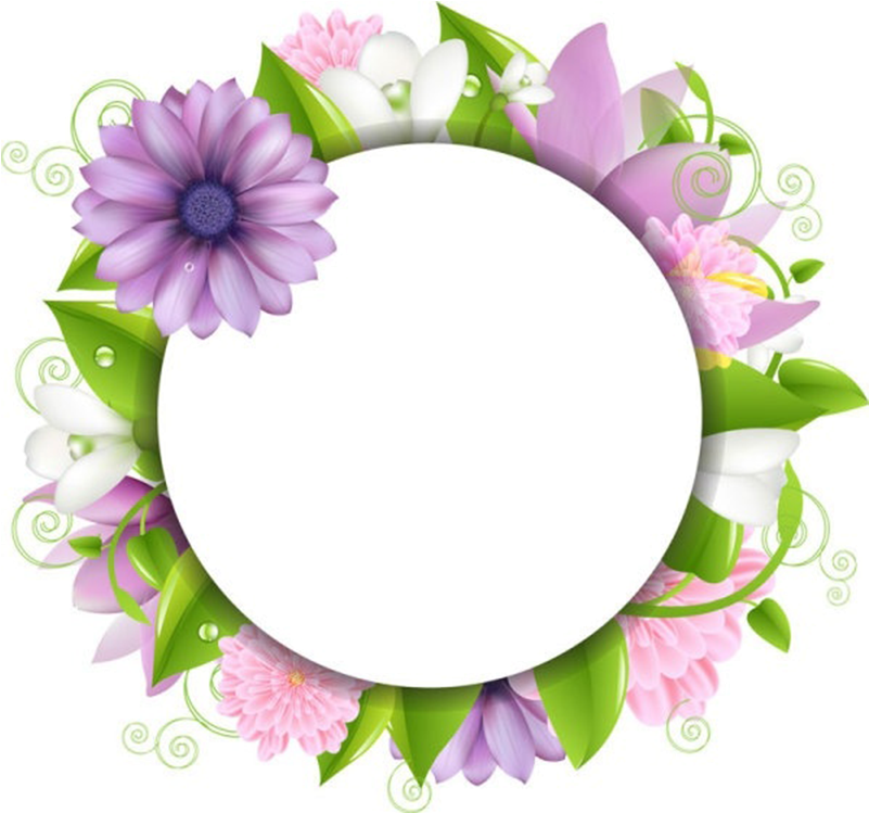 Floral_ Frame_ Circle_ P N G