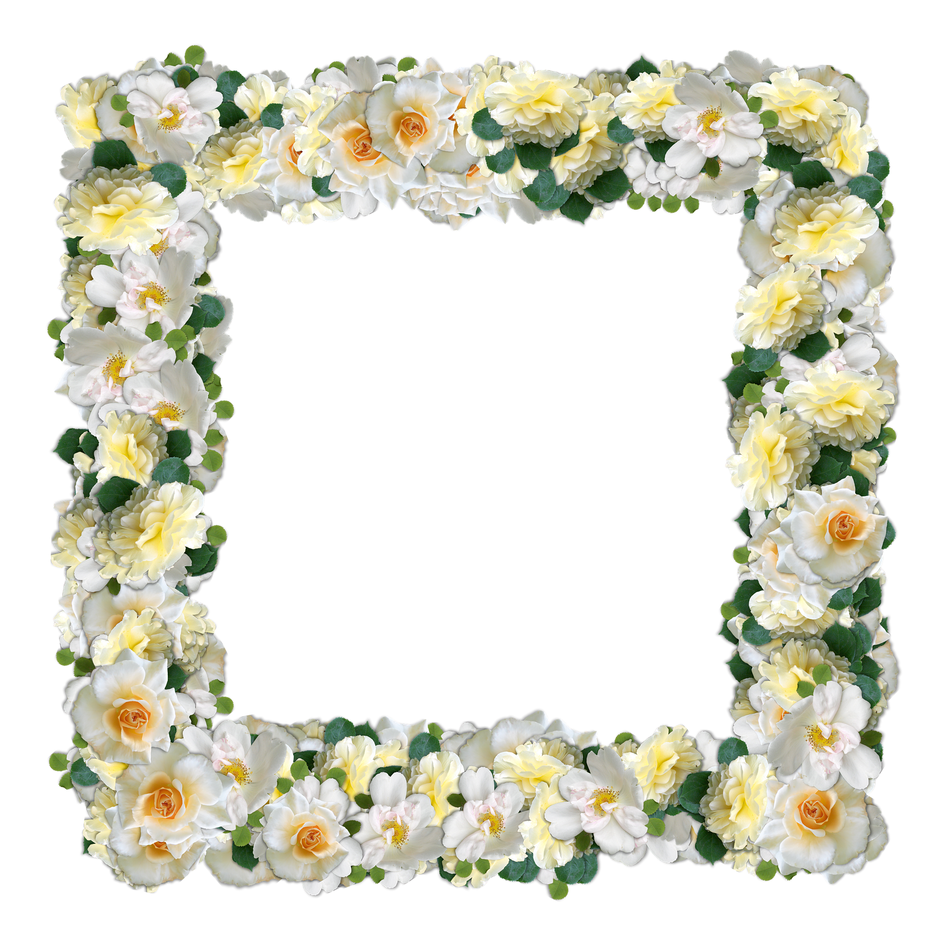 Floral_ Frame_with_ Yellow_ Roses