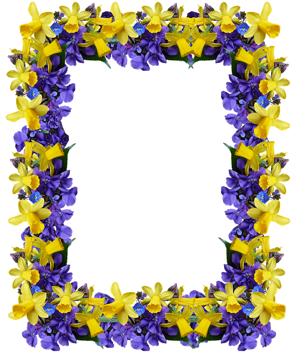 Floral Frame Yellowand Purple Flowers