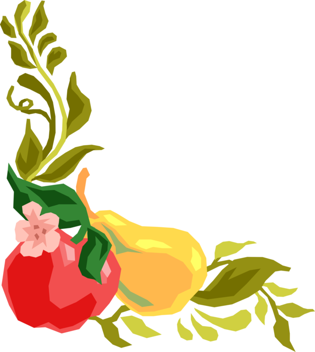 Floral Fruit Corner Design Vector