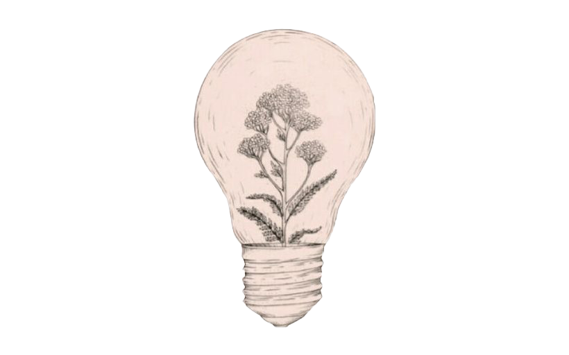 Floral Idea Lightbulb Illustration