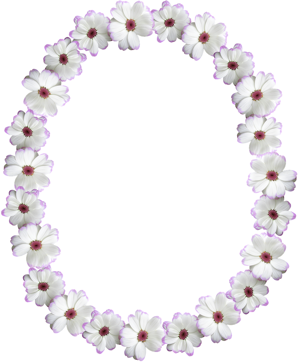 Floral Oval Frame Design.png