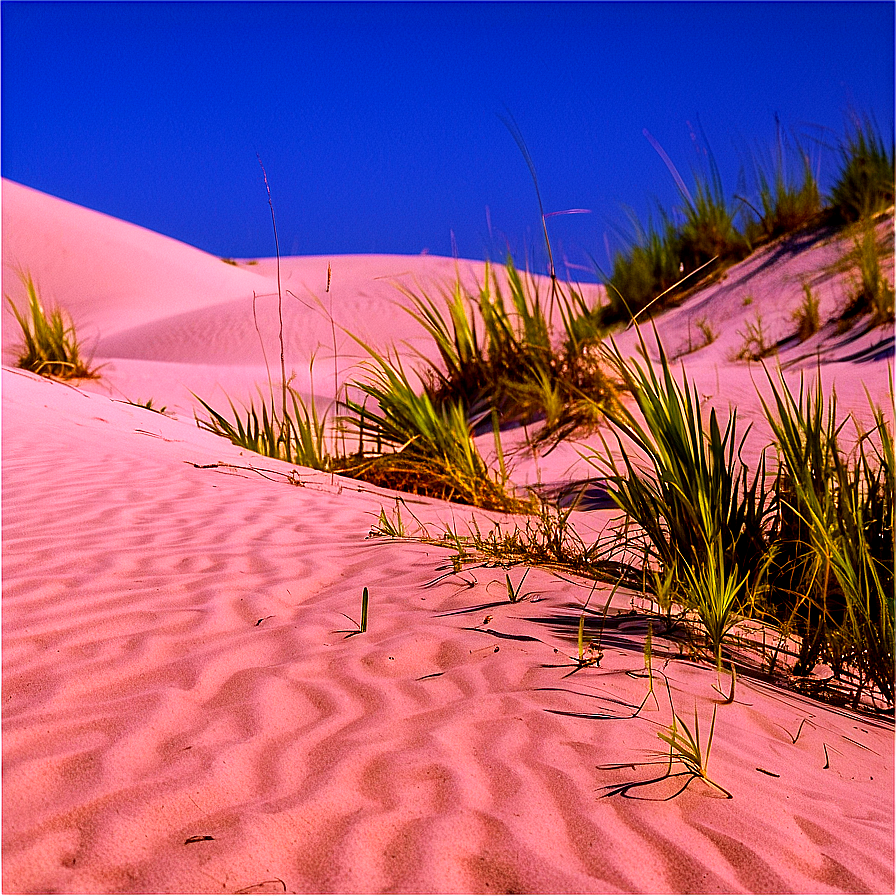 Florida State Sand Dunes Png 06212024