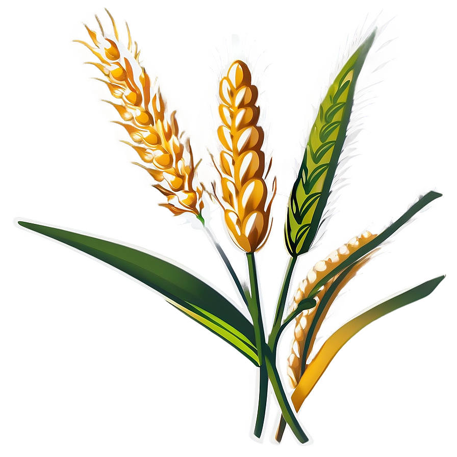 Flourishing Wheat Crop Png Fsc