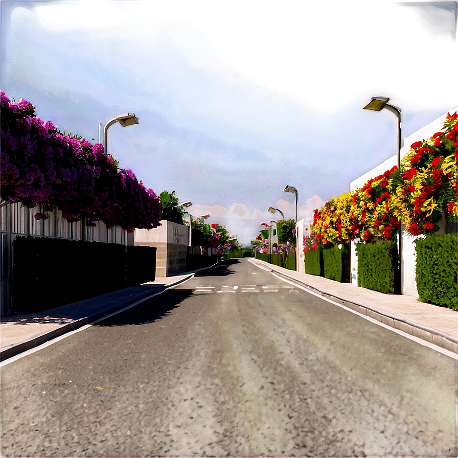 Flower Lined Street Png 06112024