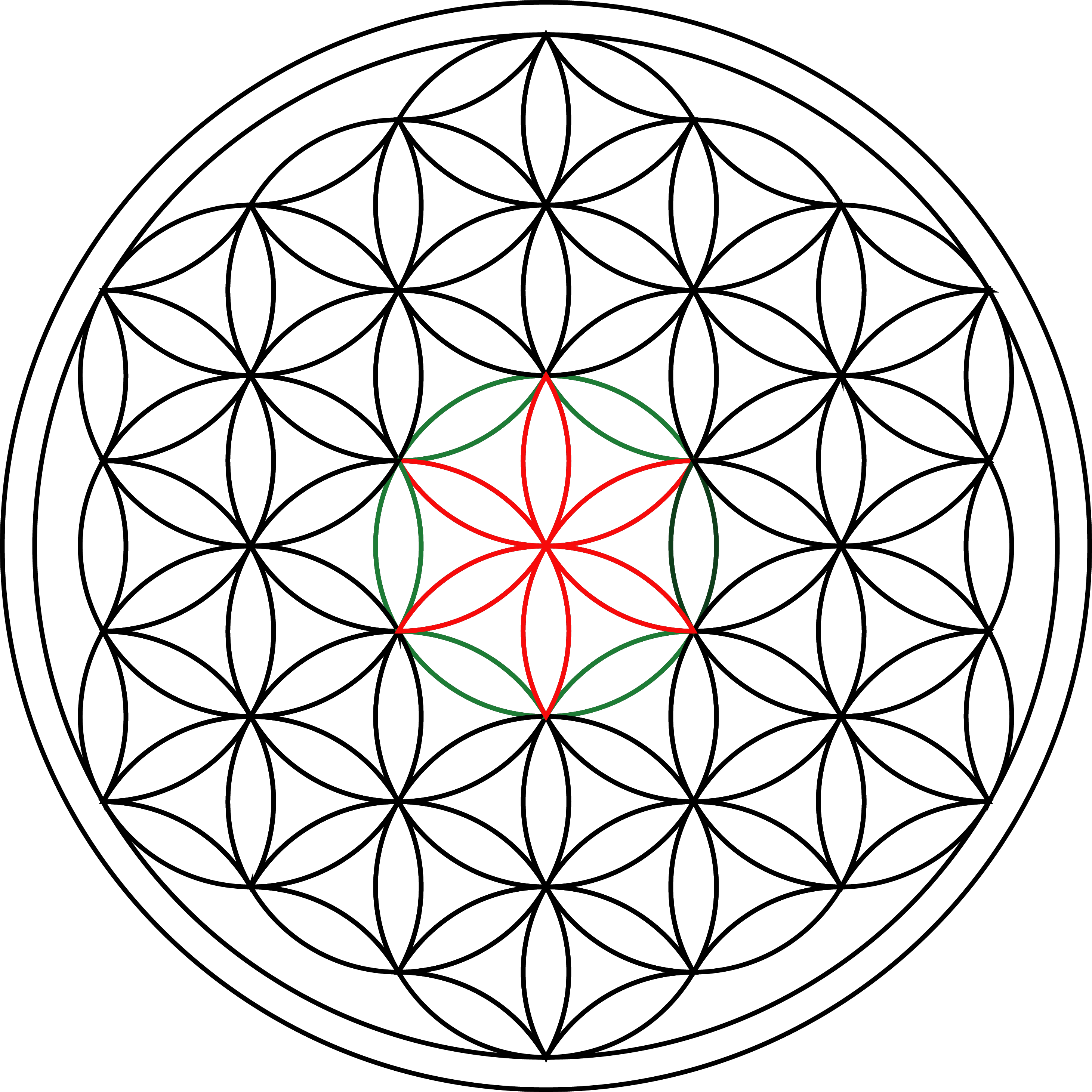 Flower Of Life_ Sacred Geometry.png