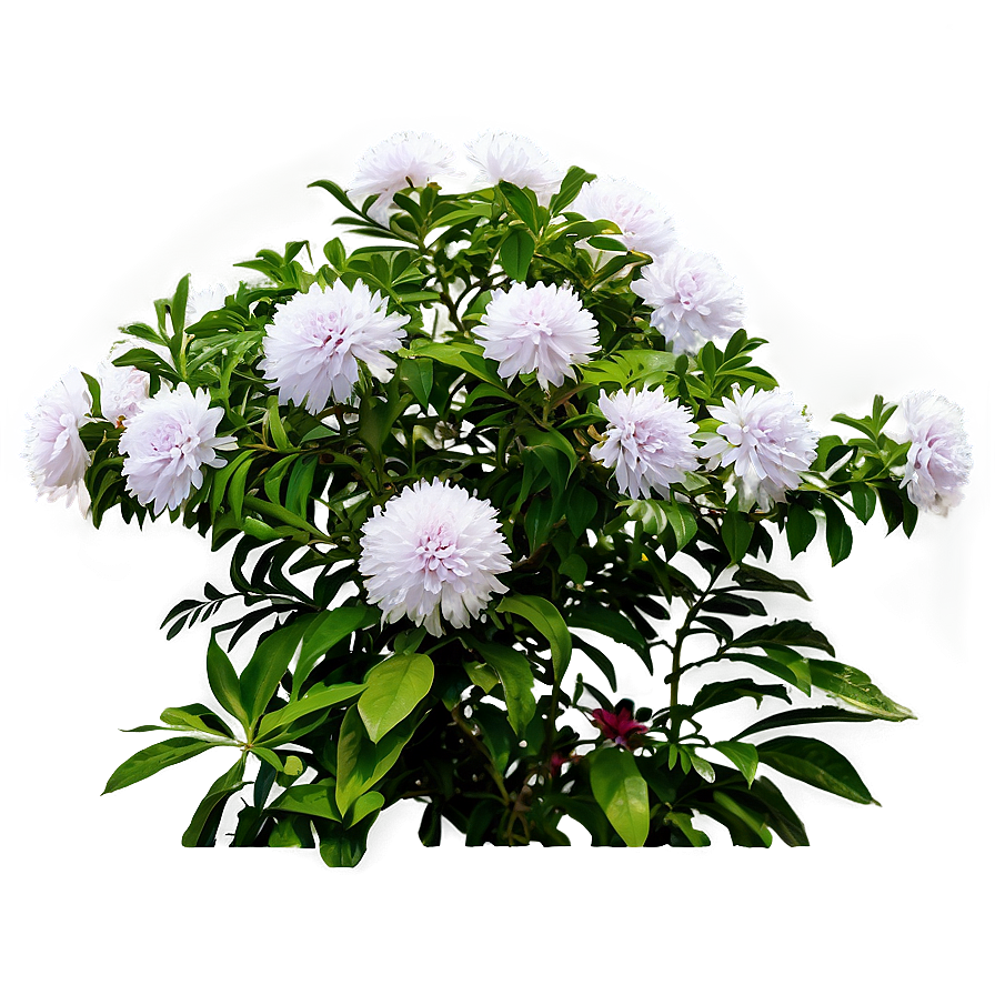 Flowering Shrubs Png Vsg