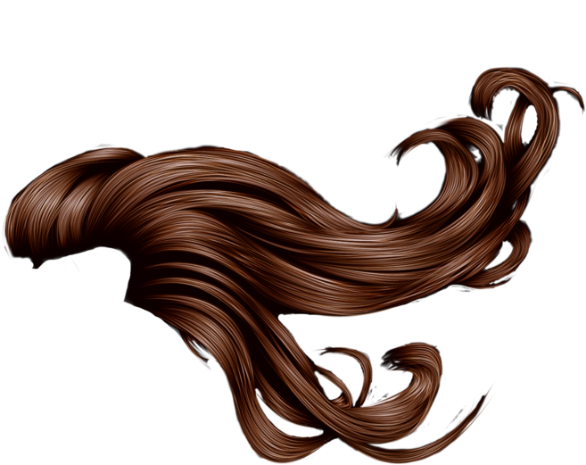 Flowing Brown Hair Illustration