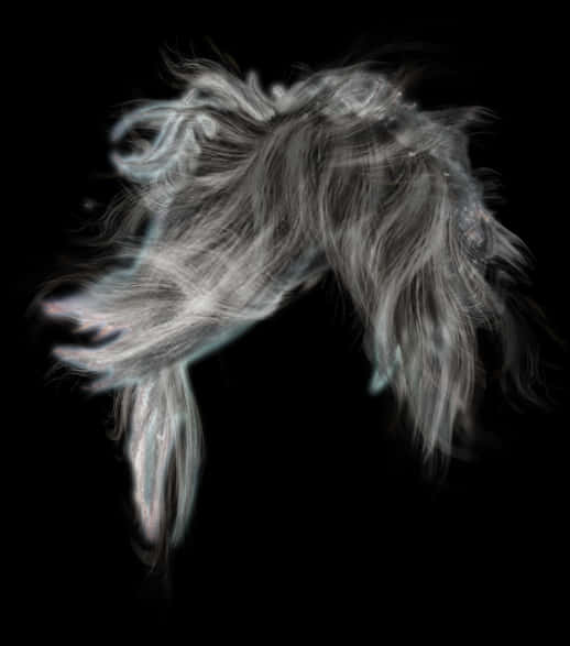 Flowing Mane Artistic Representation