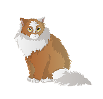 Fluffy Brown White Cat Illustration