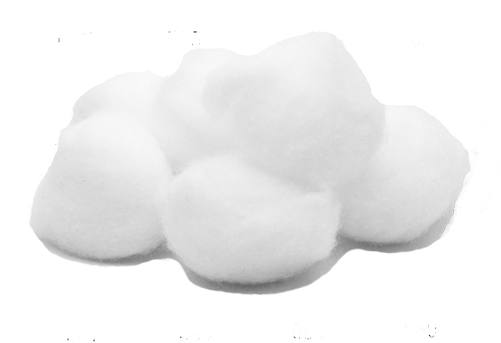 Fluffy Cotton Isolated