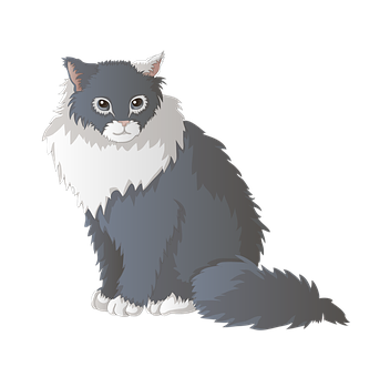 Fluffy Grayand White Cat Illustration