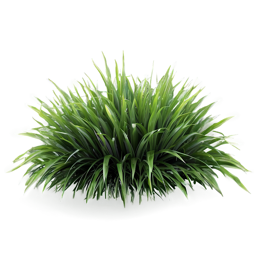 Fluffy Green Grass Png Gml