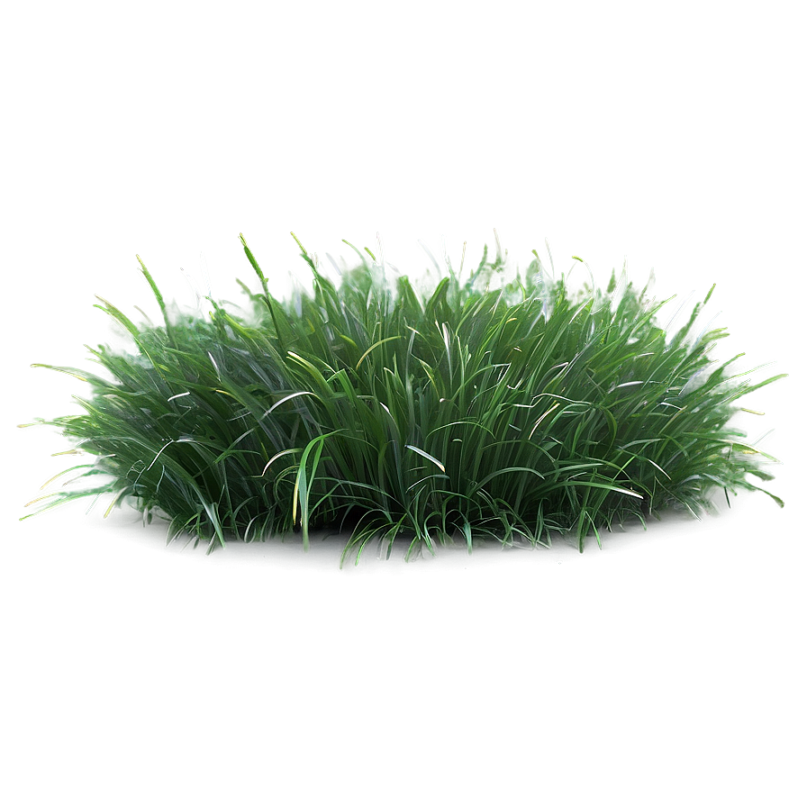 Fluffy Green Grass Png Ofu29