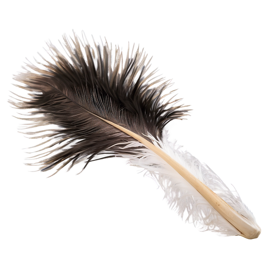 Fluffy Ostrich Feather Png Vry76