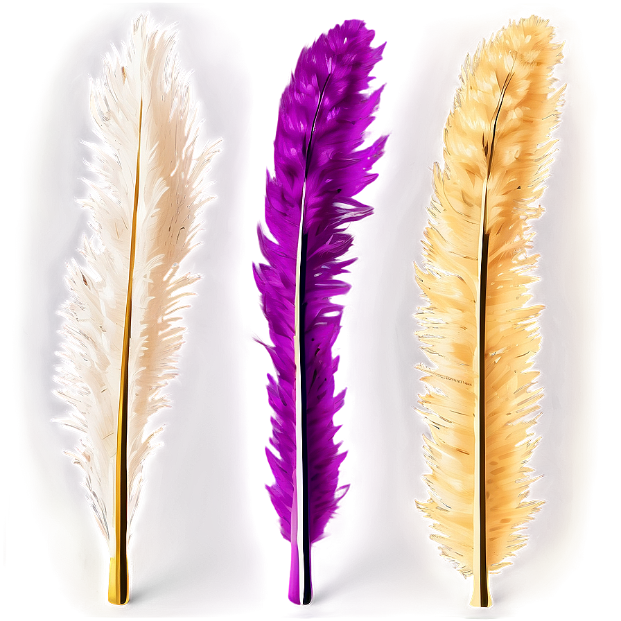 Fluffy Pampas Plumes Png 06272024