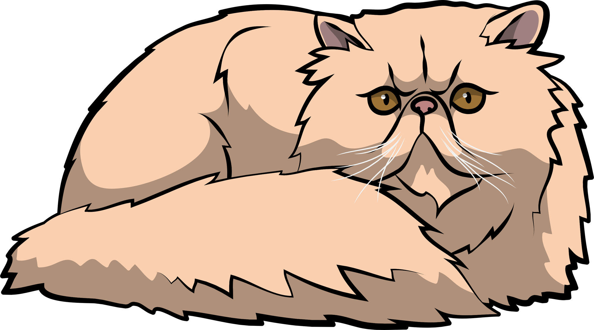 Fluffy Persian Cat Illustration