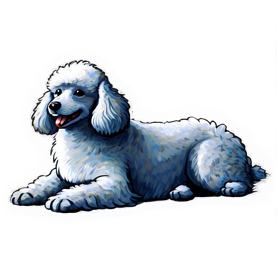 Fluffy Poodle Sketch Png Idf62