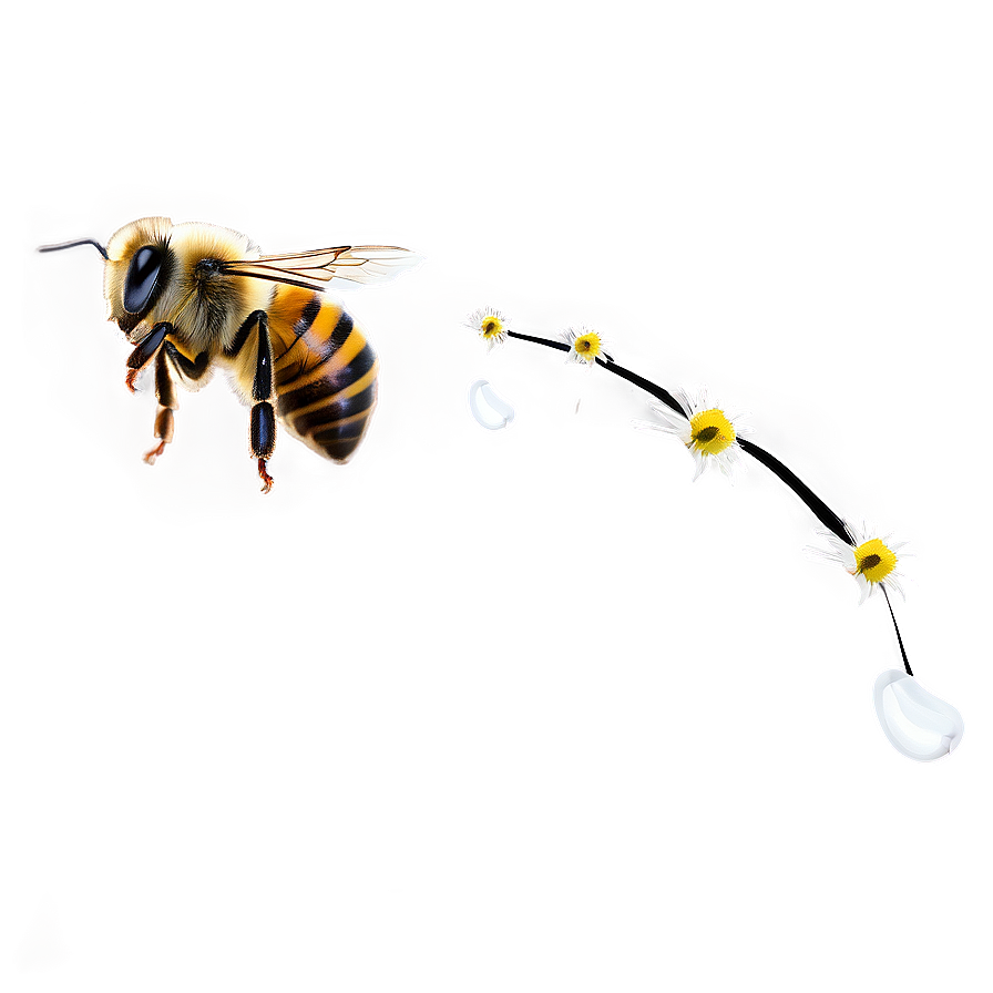 Flying Bee Png Saw52