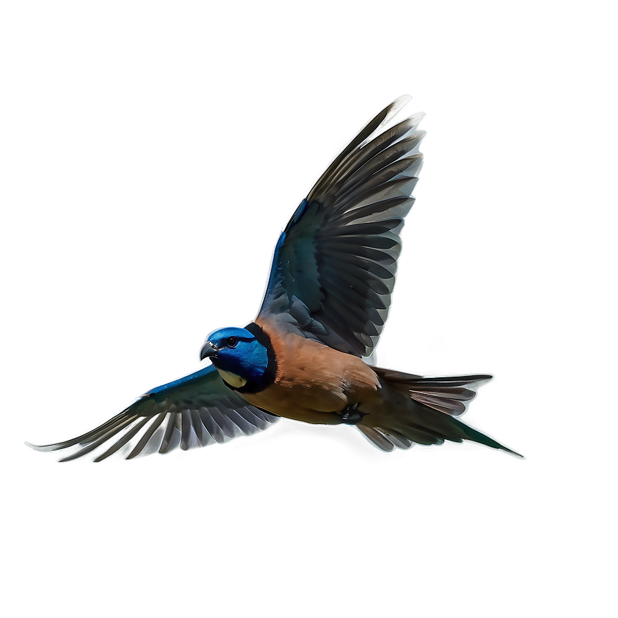 Flying Bird Transparent Png 70