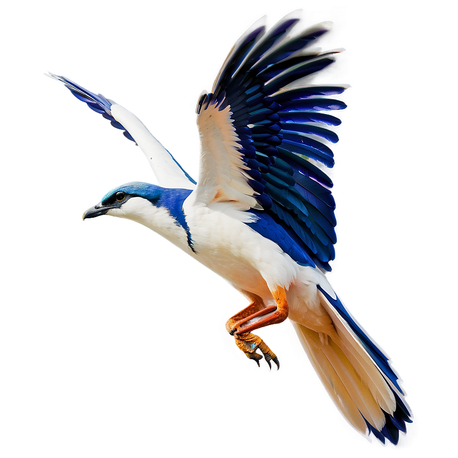 Flying Bird With Open Wings Png 06202024