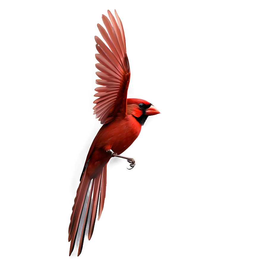 Flying Cardinal Bird Png Vfy2