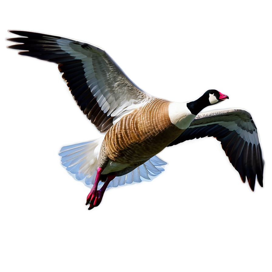 Flying Goose In Sky Png Lak