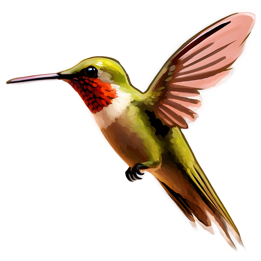 Flying Hummingbird Png 05212024