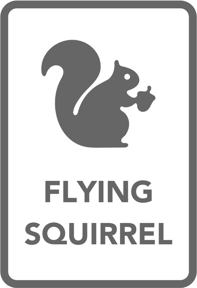 Flying Squirrel Sign Graphic