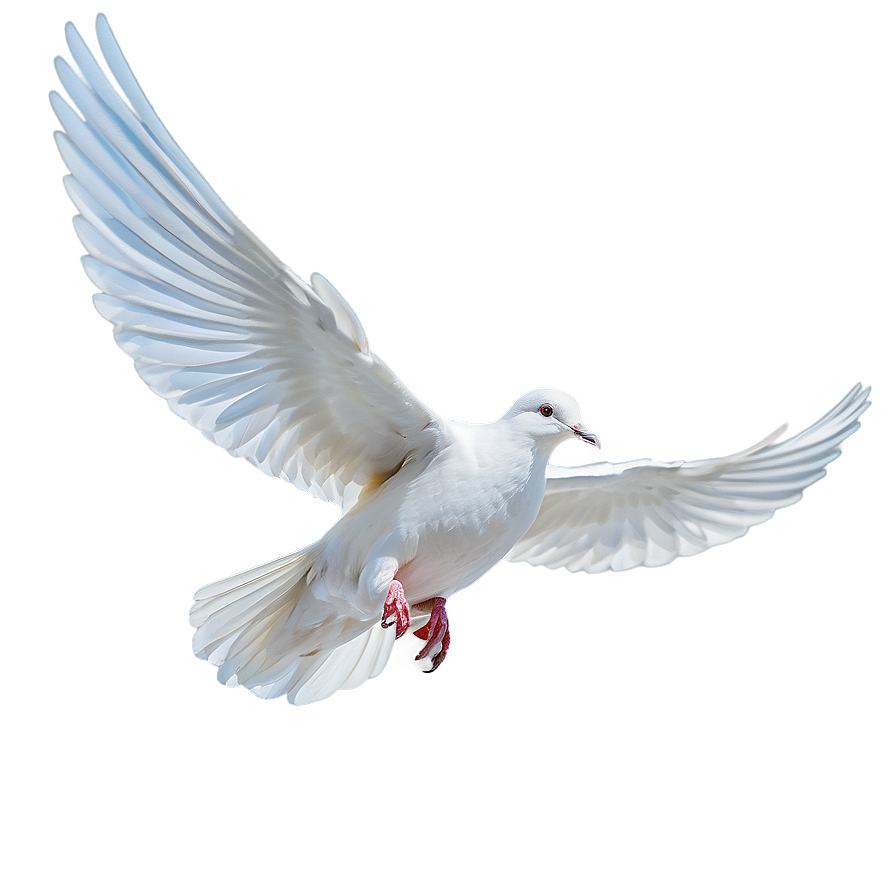 Flying White Dove Png Vfs82