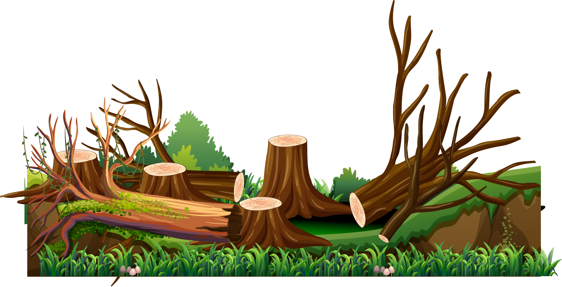 Forest_ Clearing_with_ Tree_ Stumps