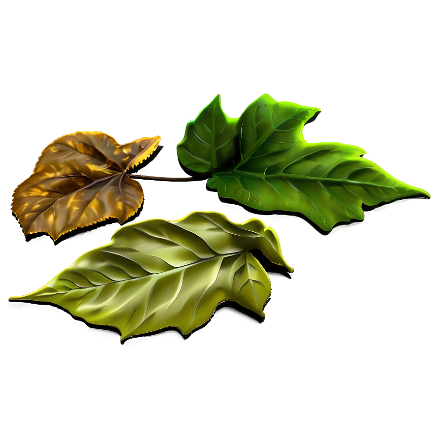 Forest Floor With Fallen Leaves Png 74