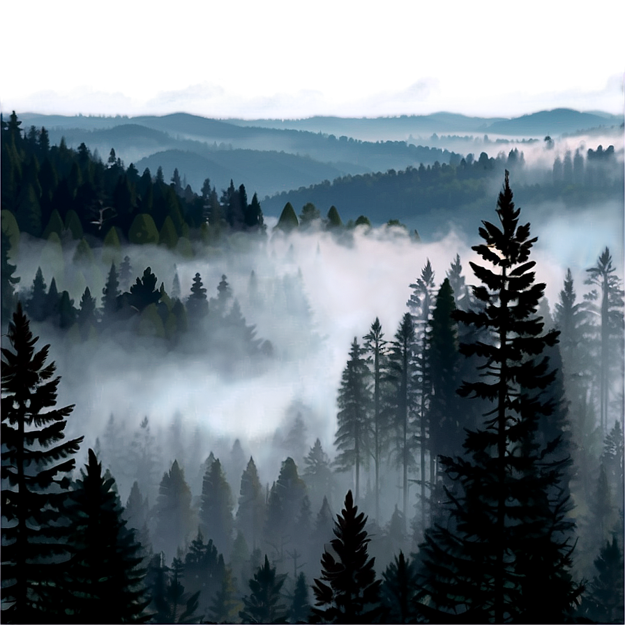 Forest Fog Transparent Png 4