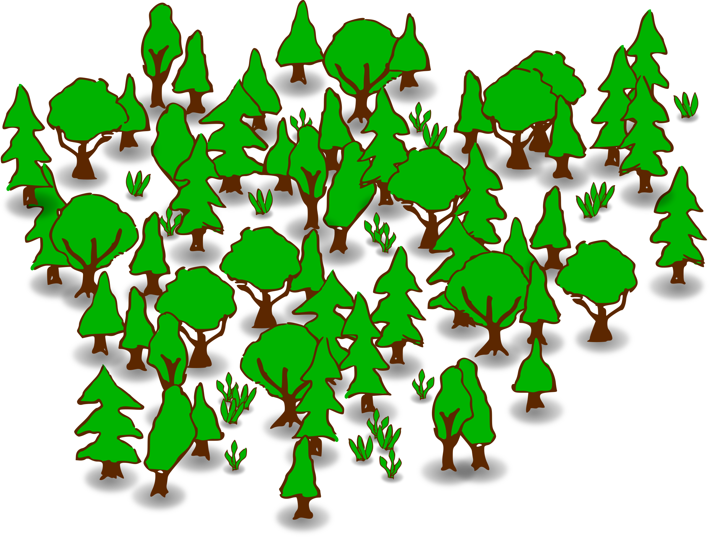 Forest_ Illustration_ Vector_ Graphic