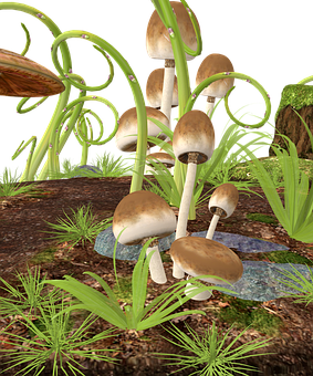 Forest_ Mushrooms_ Digital_ Rendering