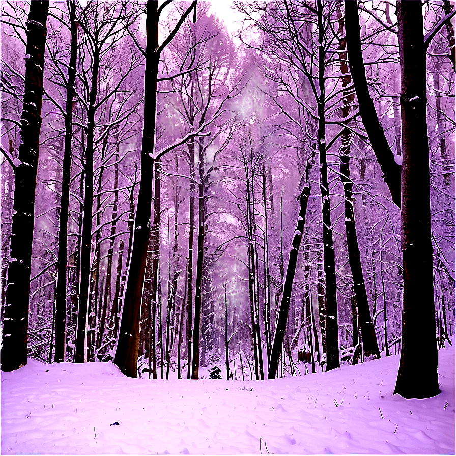 Forest Snowfall Serenity Png 6